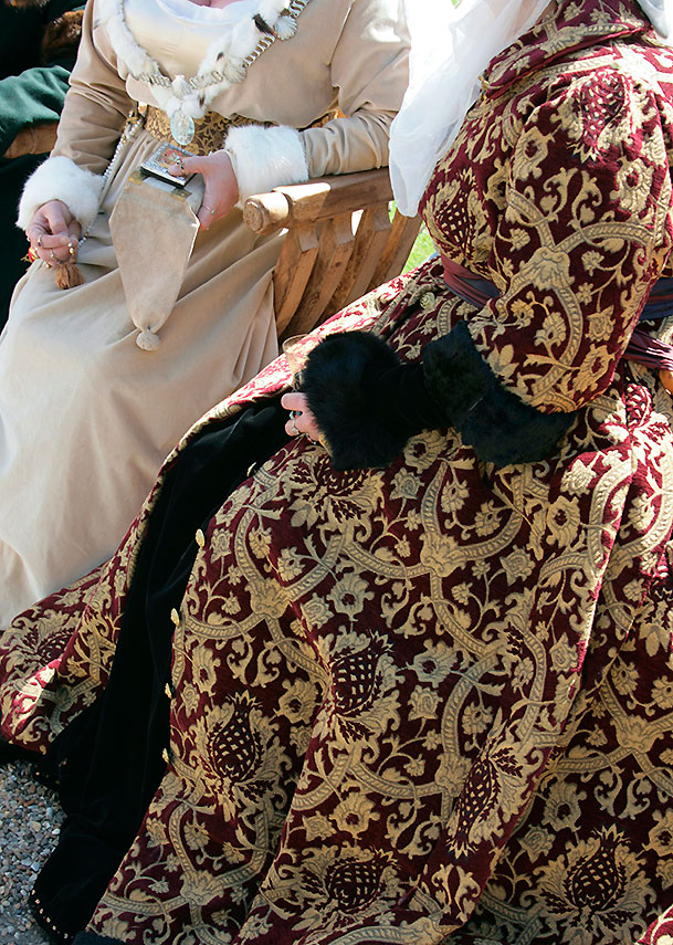 Brocade detail of Elizabethan Fashion